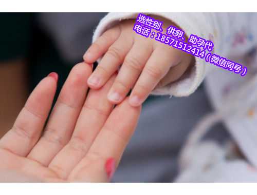 上海供卵代生孩子的多吗,宫外孕前出现六种征兆