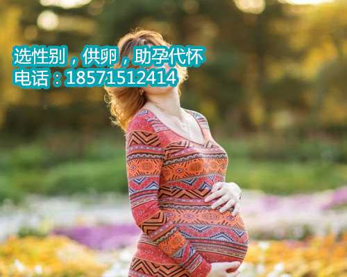上海供卵试管治疗方案,做试管婴儿前对于父母亲的要求是什么