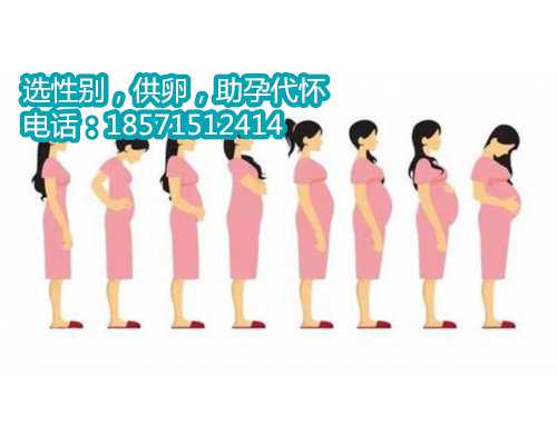 上海正规借卵试管,湖南省妇幼专家告诉你什么是不孕症