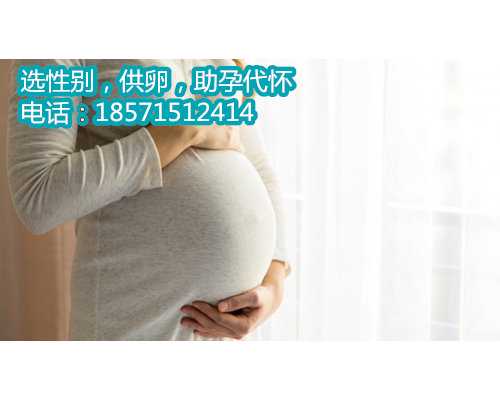 上海供卵代怀生儿子,上海试管婴儿价格大概是多少