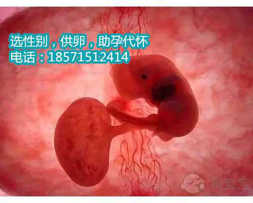 上海供卵代生小孩怎么办,泰国试管婴儿成功率高的原因有什么