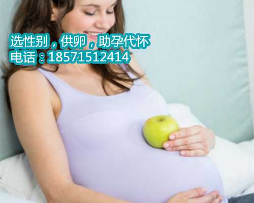 上海供卵的多少钱,试管婴儿最难的那一关是什么