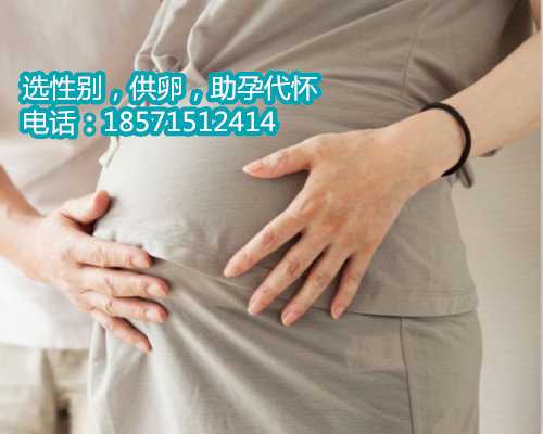 上海供卵供卵,【试管婴儿费用】试管婴儿多少钱