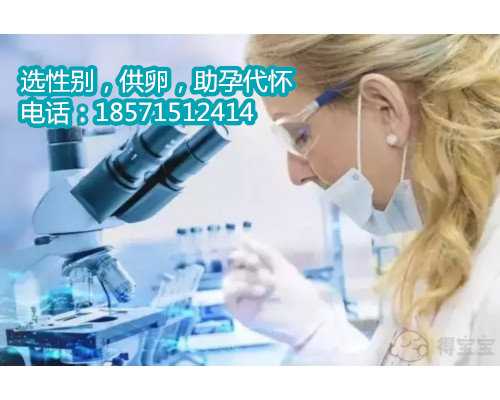 上海供卵生殖中心网站,广州试管医院的成功率是多少