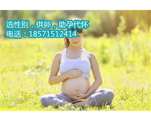 上海供卵代生过程,试管婴儿的寿命有多长