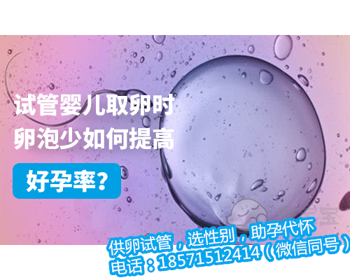 上海供卵试管医院哪家专业,试管婴儿一个月能取几次卵
