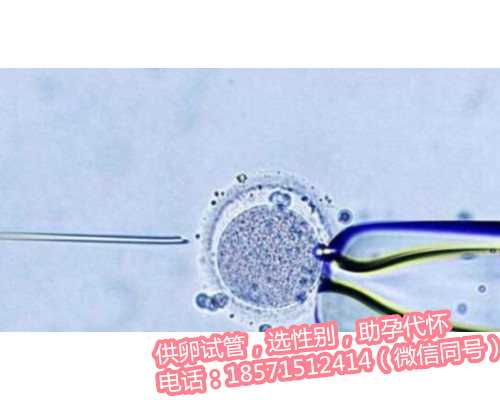上海供卵代孕包生子,输卵管堵塞的治疗费用是多少(请问做输卵管造影手术费大