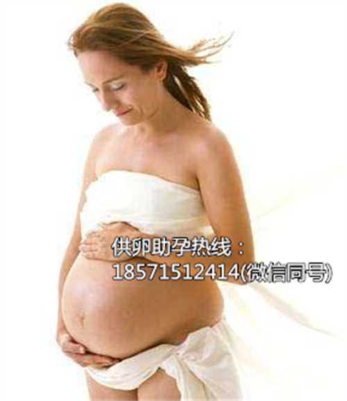 上海供卵试管生双胞胎在哪里,42岁女性做个试管婴儿要多少钱