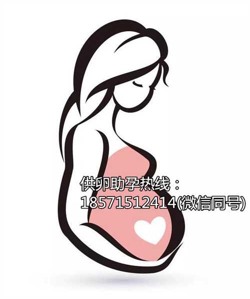 上海供卵移植前做哪些准备,选择做泰国试管婴儿的朋友需要注意4大事项