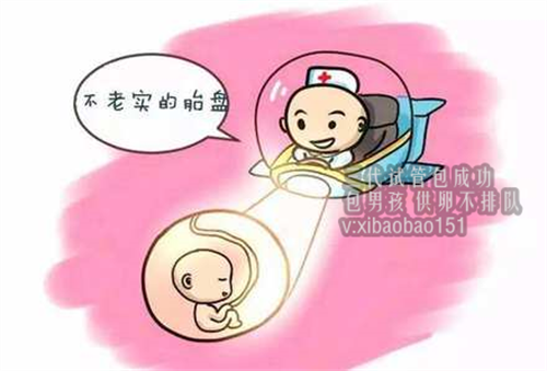 上海试管婴儿供卵_试管取卵7个是不是很少？