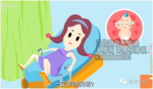 上海供卵一次成功率_十一个卵泡一般配得几个可移植的胚胎呢？