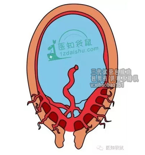 上海哪家医院可以做供卵试管婴儿?_中考专题03  化学实验常考易错操作