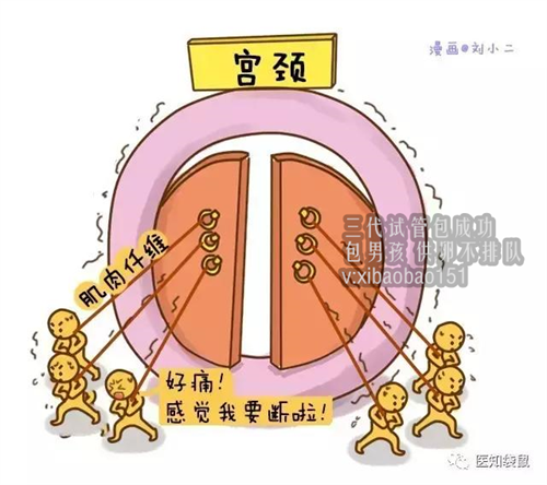上海试管婴儿供卵花费多少_试管进度：宫腔镜预约成功