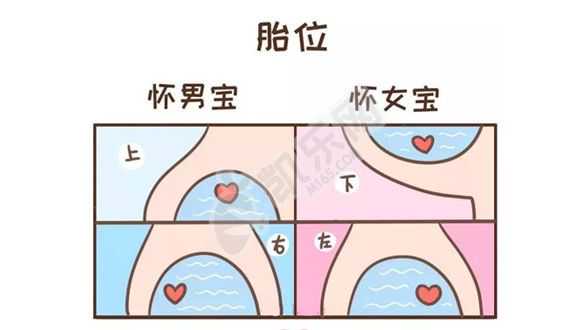 上海世纪助孕包性别_输卵管积水吃中药行吗？什么原因引起积水？