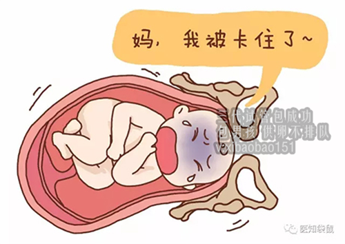 上海助孕公司价格_想提高试管婴儿成功率还要做好这几点