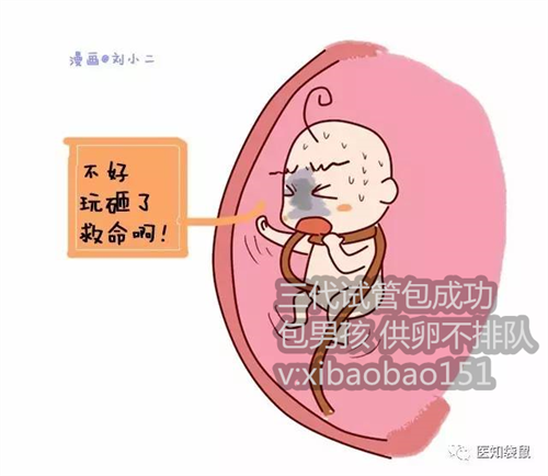 上海供卵靠谱的医院,试管婴儿和人工授精有什么区别呢