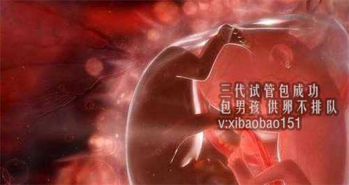 上海供卵代孕者,TWC第比利斯妇女生殖中心常见的试管婴儿技术有哪些