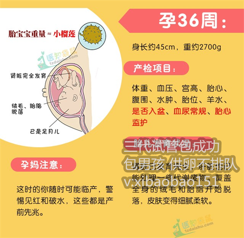 上海供卵生子的隐患,试管婴儿助孕过程中是否会导致母体不适
